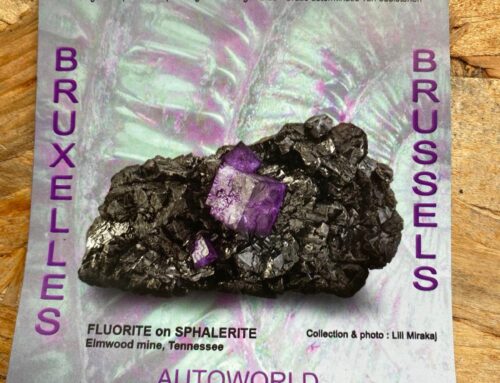 —Bourse InternationaleMinéraux, Fossiles et Gemmes Bruxelles 2025—