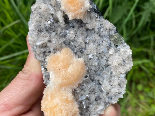 Aragonite corail pêche sur géode de quartz – Cyaleor grossiste minéraux